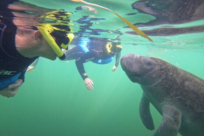 Small Group Manatee Swim Tour With In Water Guide - Cancellation Policy