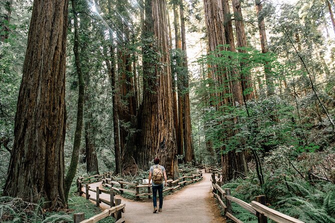 Small-Group Tour: Sf, Muir Woods, Sausalito W/ Optional Alcatraz - Whats Included