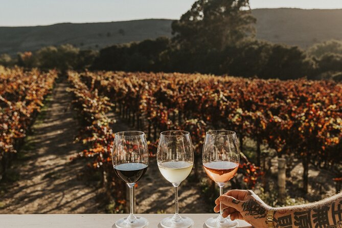 Small Group: Ultimate Napa & Sonoma Wine Tour From San Francisco - Tour Inclusions and Policies