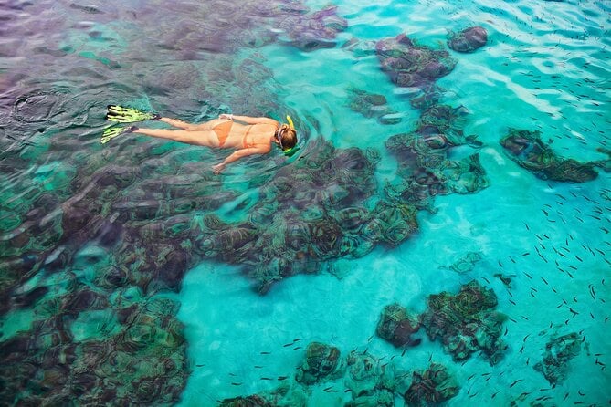 Snorkel on a Navy Boat in Kealakekua Bay Reef - Cancellation and Pricing