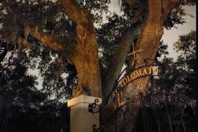 St. Augustine Ghost Tour: A Ghostly Encounter - Positive Guest Reviews