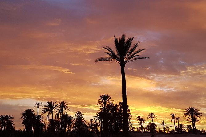 Sunset Camel Ride Tour in Marrakech Palm Grove - Tour Details and Reviews
