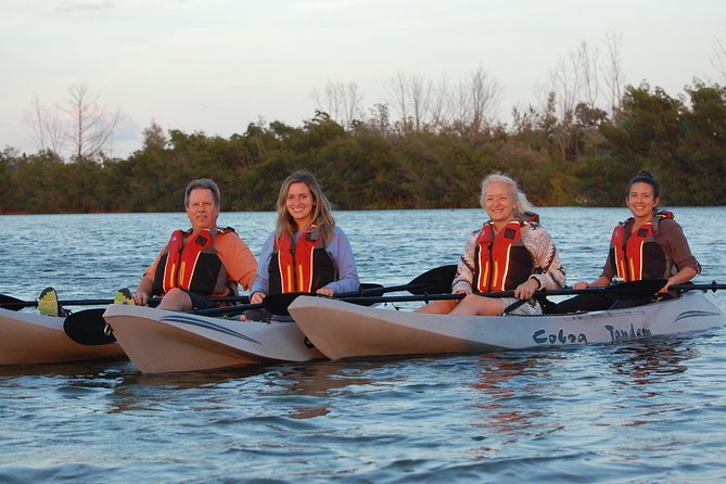 Sunset Tour Mangrove, Dolphins, Manatee #1 Rated in Cocoa Beach - Kayaking for First-Timers
