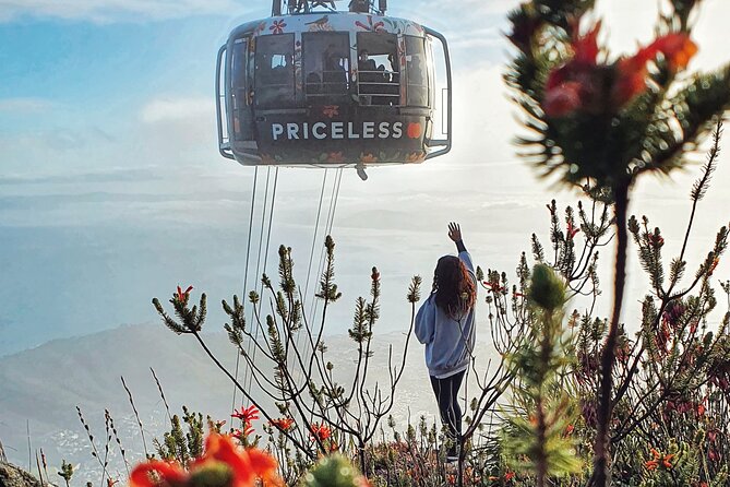 Table Mountain Adventurous Hike & Cable Car Down - Personalized Small-Group Experience