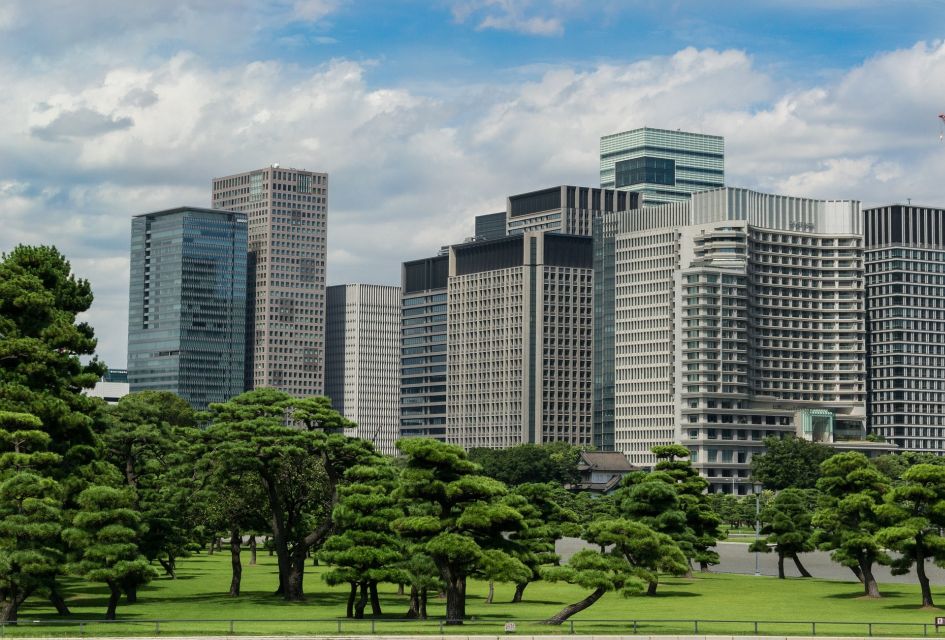 Tokyo: 1-Day Private Customizable Tour by Car - Transportation and Convenience