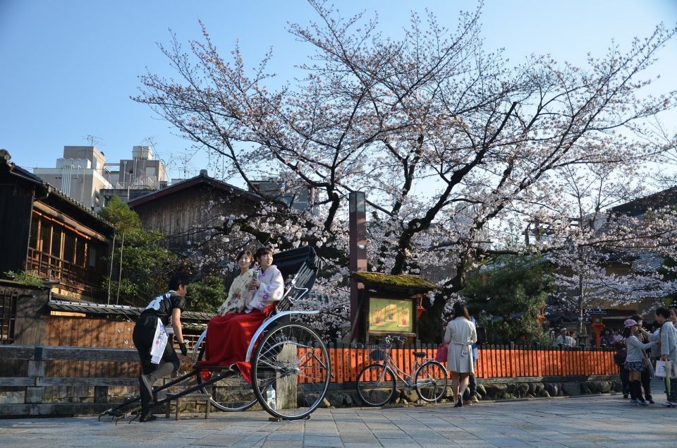 Tokyo: Private Cherry Blossom Experience - Booking and Meeting Point Details