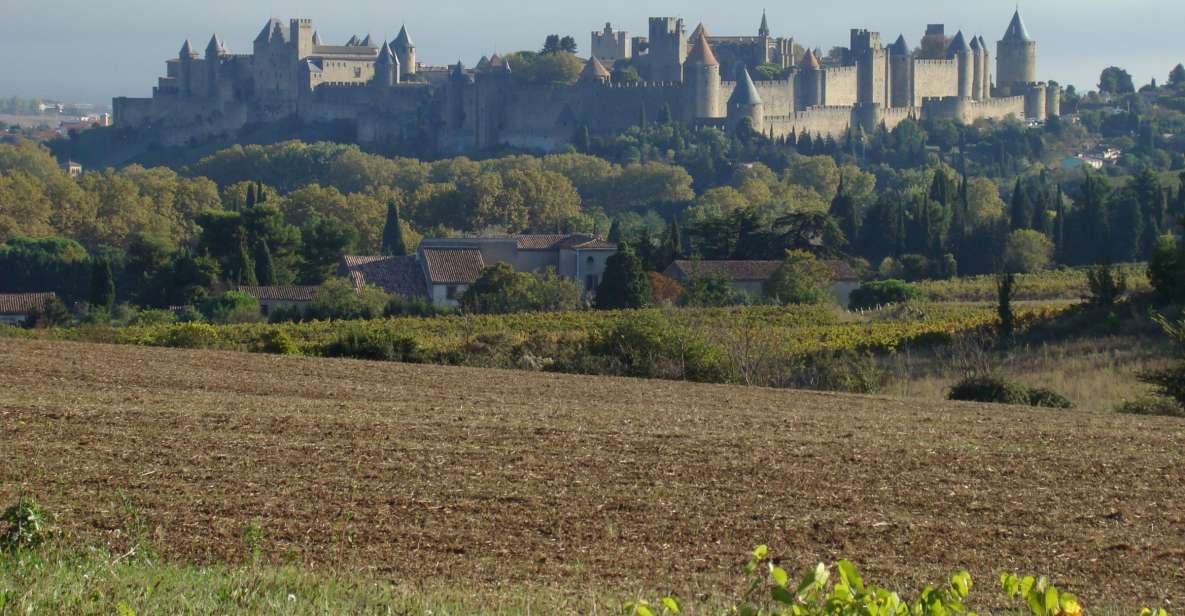 Toulouse to Carcassonne & Albi: Private Sightseeing Tour - Exclusions