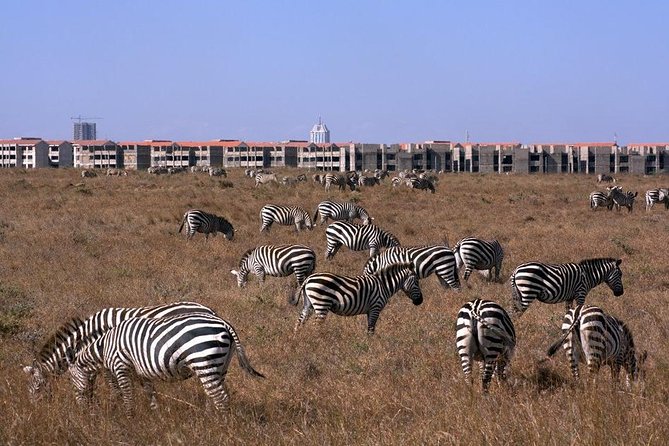 Tour: Giraffe Center and Nairobi National Park - Additional Details