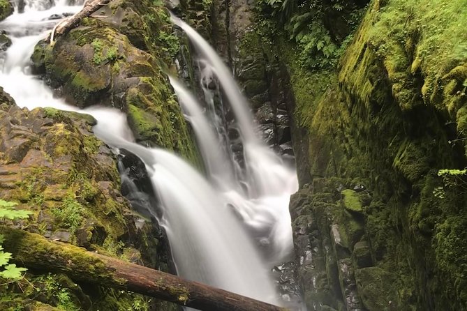 Viator Exclusive Tour- Olympic National Park Tour From Seattle - Rainforest and Waterfalls