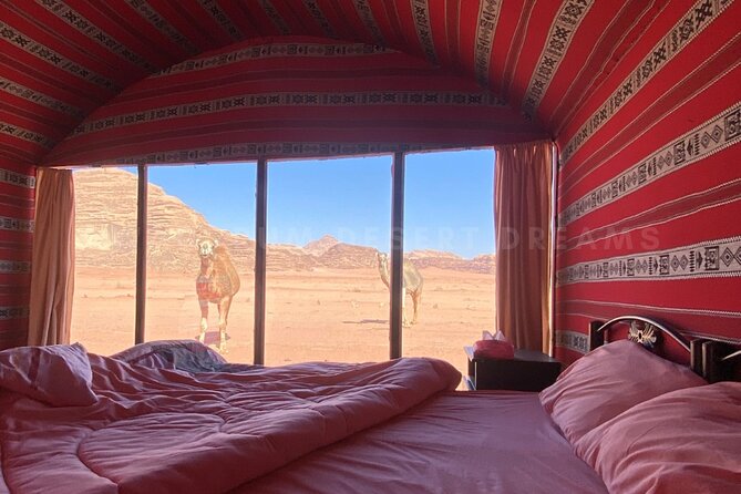 Wadi Rum Full Day Jeep Tour + Overnight & Dinner in Bedouin Camp - Booking Information