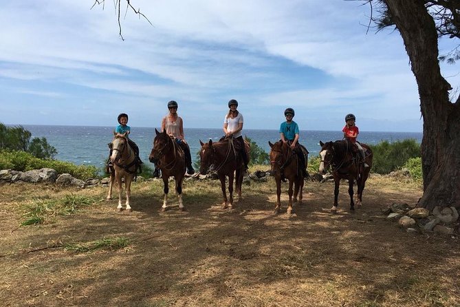 West Maui Mountain Waterfall and Ocean Tour via Horseback - Booking and Cancellation