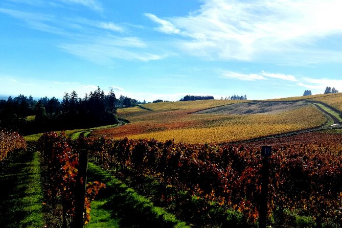 Willamette Valley Wine Tour With Lunch - Gourmet Lunch Experience