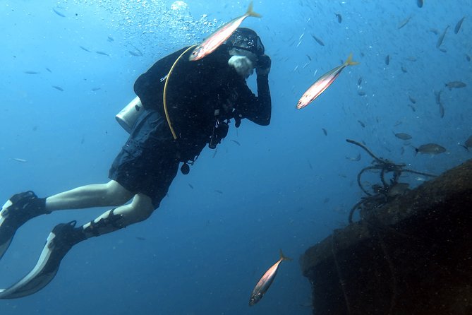 Wreck and Bridge Span Dive Charter for Certified Divers - Inclusions and Rental Gear