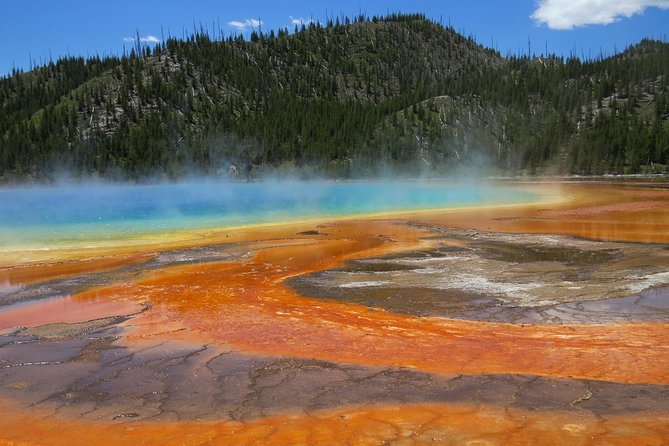 Yellowstone National Park - Full-Day Lower Loop Tour From West Yellowstone - Customer Testimonials and Reviews