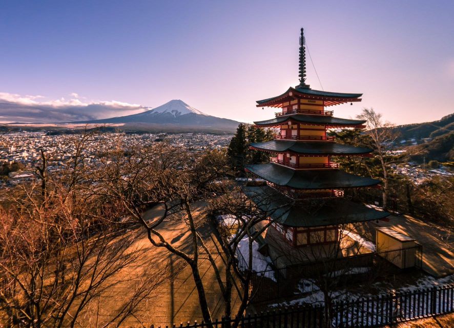 1-Day Trip: Mt Fuji + Kawaguchi Lake Area - Tour Modifications
