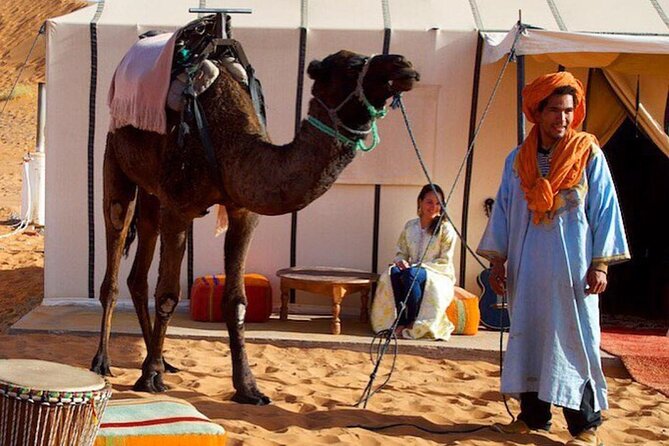 3 Days Desert Tour From Marrakech To Merzouga Dunes & Camel Trek - Return to Marrakech and Departure