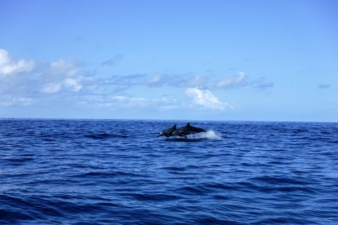 4-hour Kailua-Kona Ocean Kayak and Snorkel Tour - Meeting and Scheduling Details