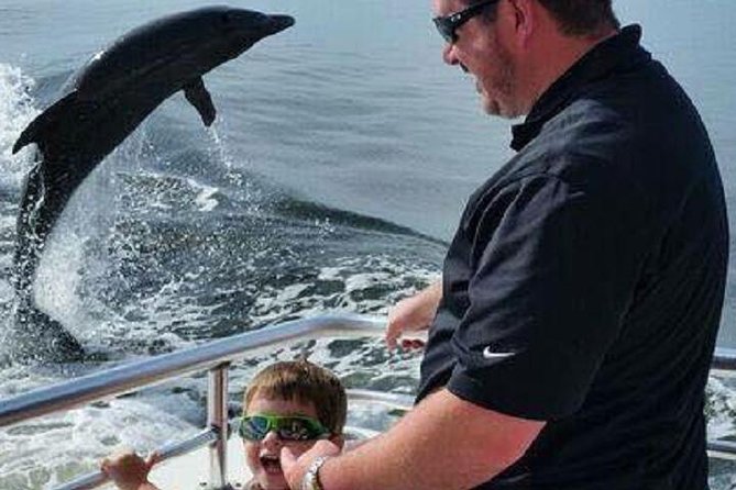 Alabama Gulf Coast Dolphin Cruise - Sightings and Wildlife Encounters