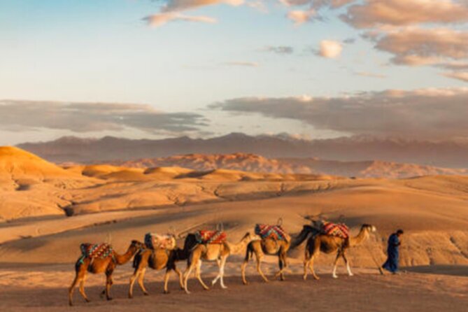 Atlas Mountains, 3 Valleys & Agafay Desert From Marrakech-Daytour - Tour Pickup and Drop-off