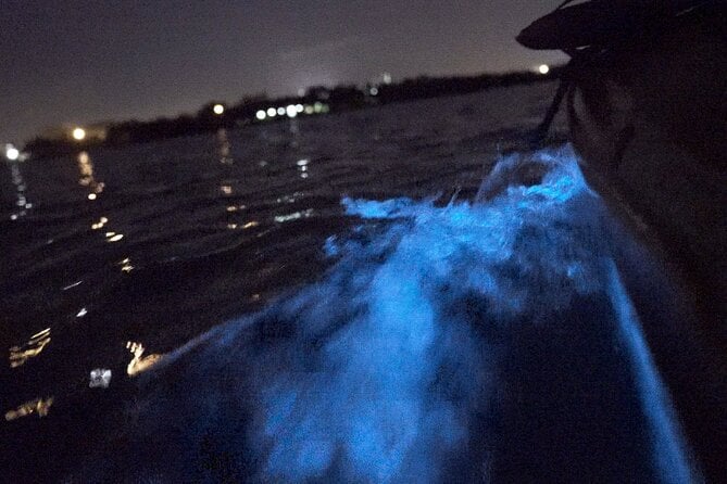 Bioluminescence Kayak Tour - Experience Highlights