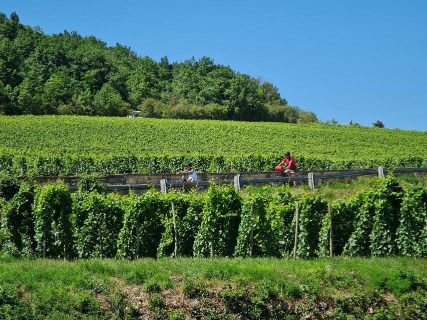 Burgundy: Fantastic 2-Day Cycling Tour With Wine Tasting - Recommended Gear
