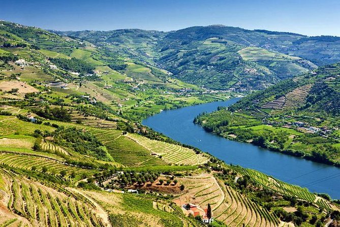 Complete Douro Valley Wine Tour With Lunch, Wine Tastings and River Cruise - Meeting and Pickup Details