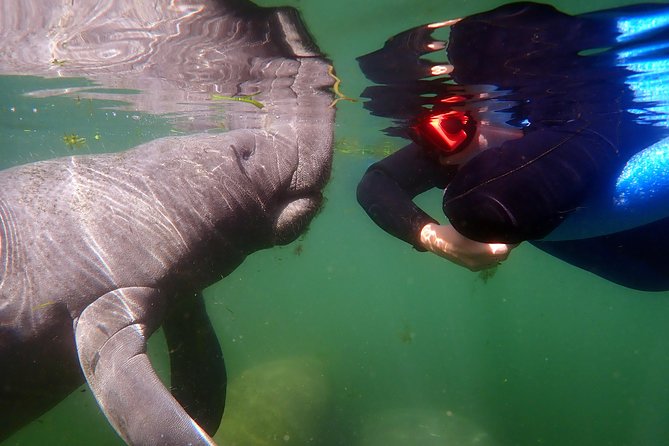 Exclusive Small Group VIP Heated Manatee Snorkel Tour - Heated Pontoon Boat Ride