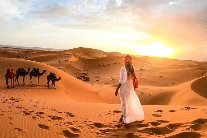 From Maarrakech:3day Small Group From Marrakech to Merzouga Dunes - Camel Safari and Desert Camp