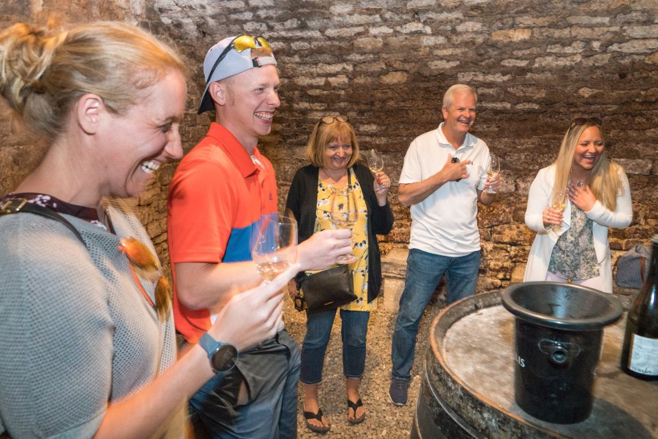 From Paris: Burgundy Region Winery Tour With Tastings - Additional Information