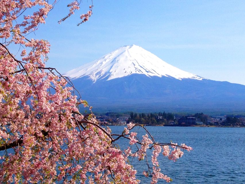 From Tokyo: Mt. Fuji or Hakone Private Sightseeing Day Trip - Therapeutic Hot Springs and Outdoor Art Museum