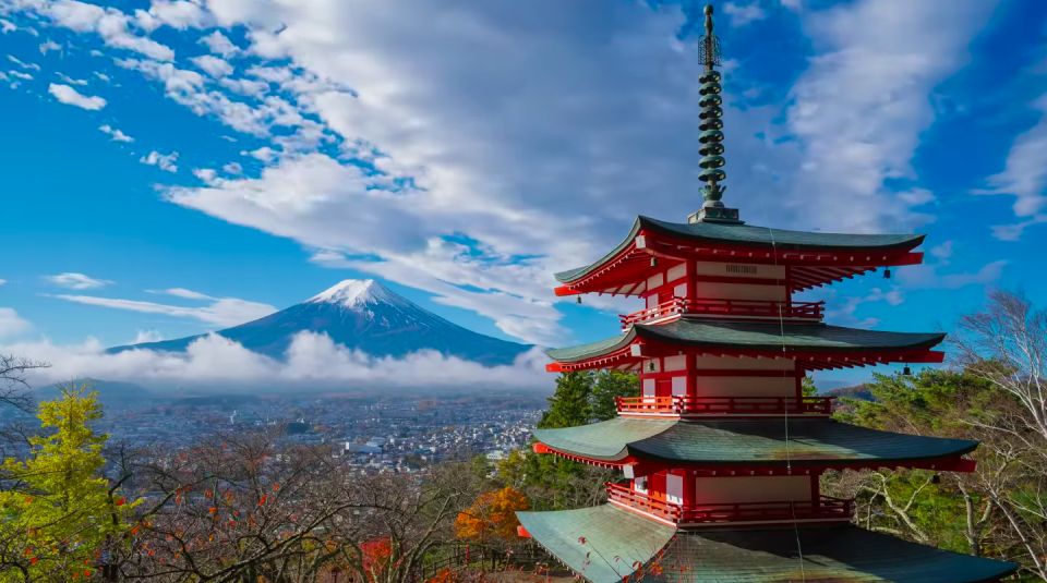 From Tokyo: Mt. Fuji or Hakone Sightseeing Private Day Tour - Inclusions and Exclusions
