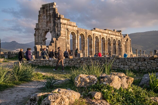 Full-day Historical Meknes Volubilis and Moulay Idriss Tour - Excluded Services