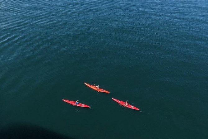 Kayak Tours - Tour Group Size and Confirmation