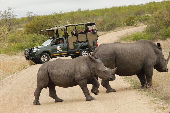 Kruger National Park Sunrise Morning Private Safari - Additional Information