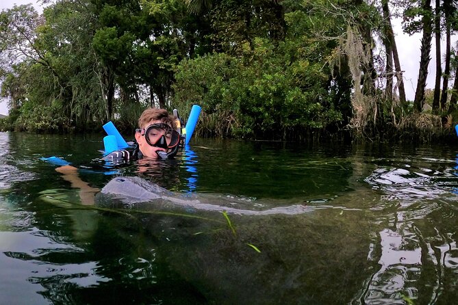 Manatee Adventure, Airboat, Lunch, Wildlife Park With Transport - Customer Reviews