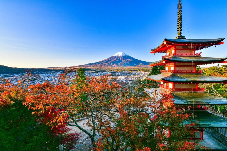Mt. Fuji Area One Day Private Tour From Tokyo - Important Considerations