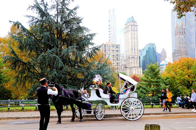 NYC Central Park Horse Carriage Ride (Up to 4 Adults) - Treats for the Horses