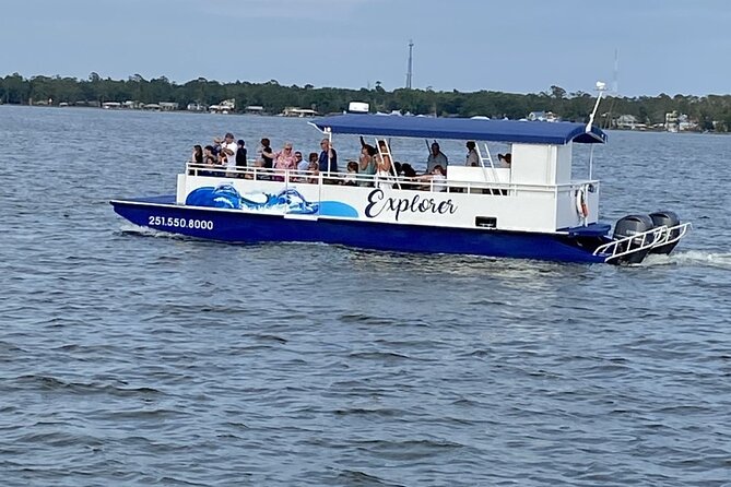 Orange Beach Dolphin Eco Boat Tour - Customer Reviews and Ratings