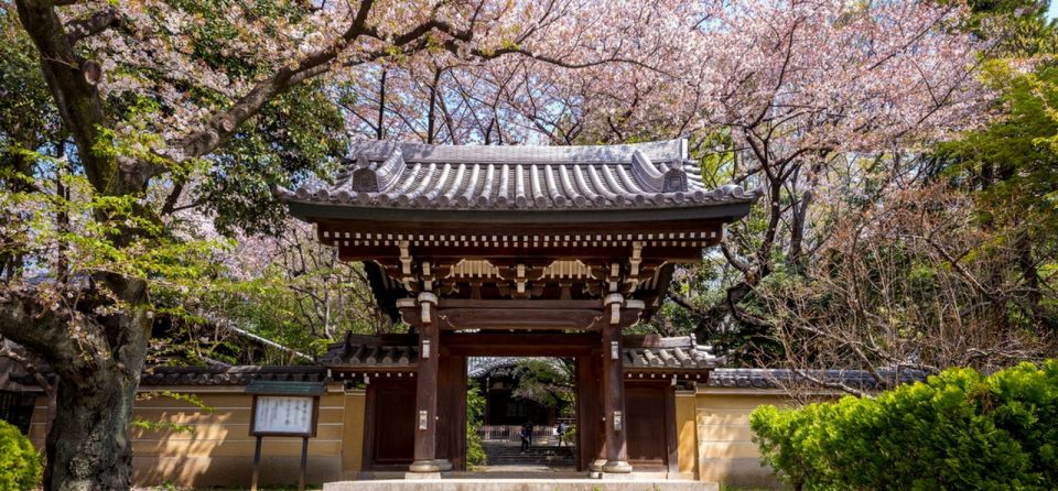 Tokyo: Private Cherry Blossom Experience - Tour Inclusions and Duration