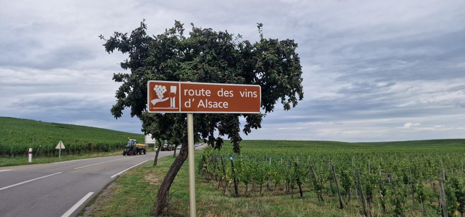 Alsace: the Legendary Wine Road Tour With Tasting and Lunch - Kaysersberg-Vignoble Guided Tour