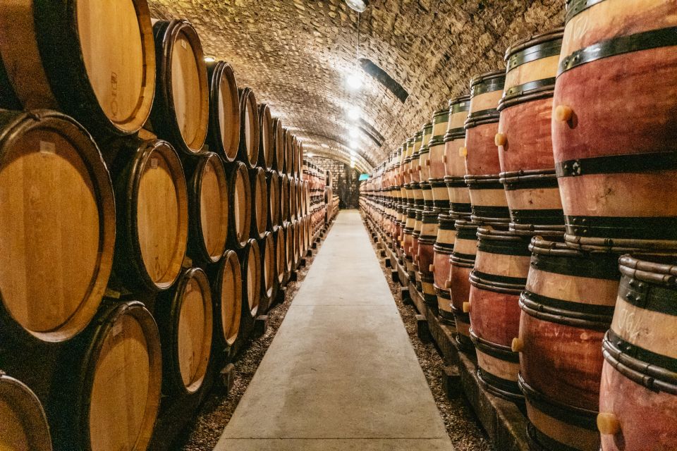 From Beaune: Burgundy Day Trip With 12 Wine Tastings - Frequently Asked Questions