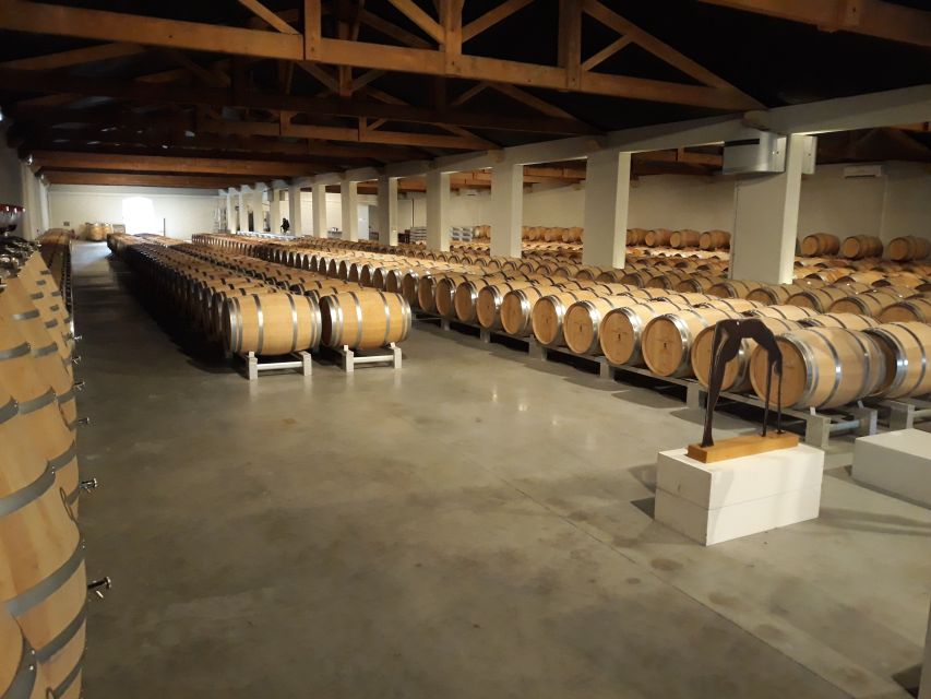 From Bordeaux: Médoc Vineyard and Château Tour by Sidecar - Frequently Asked Questions
