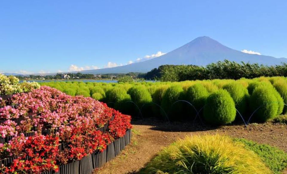 From Tokyo: Mount Fuji Full Day Private Tours English Driver - Frequently Asked Questions