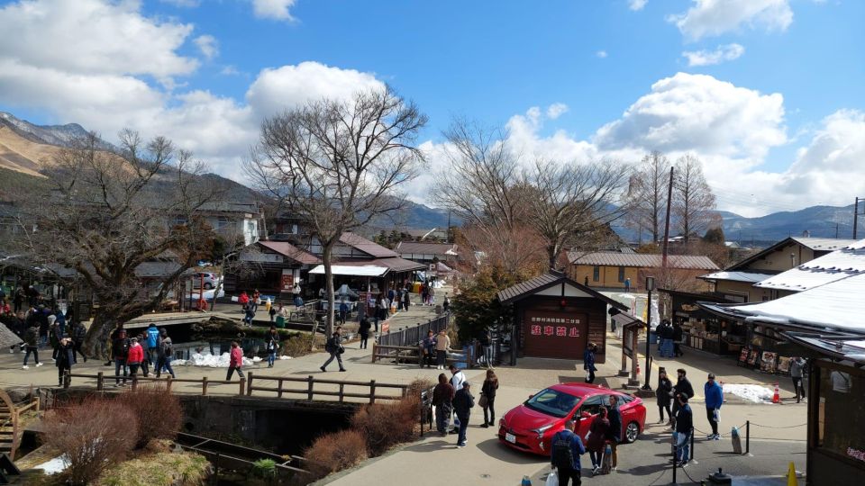 From Tokyo: Mt. Fuji or Hakone Sightseeing Private Day Tour - Frequently Asked Questions