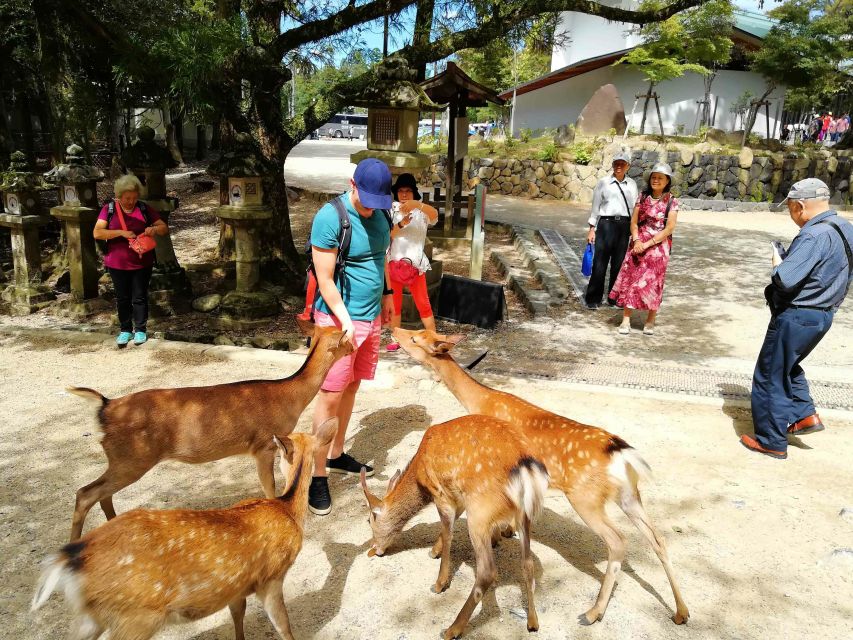Nara: City Highlights Shared Group or Private Bike Tour - Frequently Asked Questions