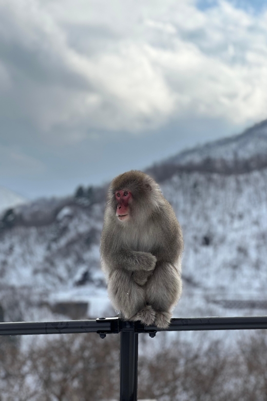 A Memorabele Snow Monkey Park and Zenkoji Temple Tour - Key Points