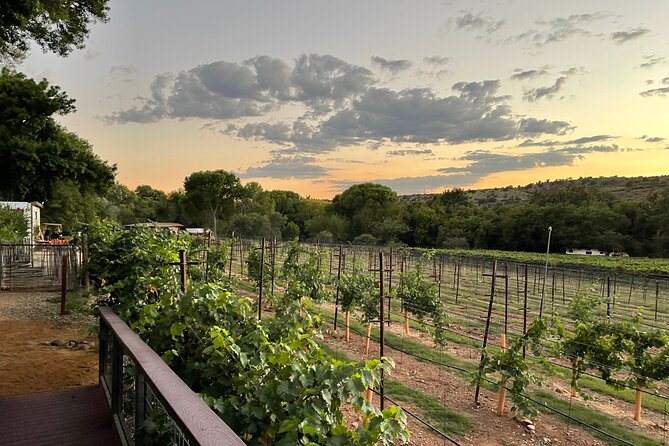 All Inclusive Sedona Join in Wine Tour 200+ 5 Star Reviews! - Key Points