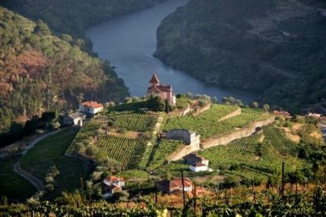 Authentic Douro Wine Tour Including Lunch and River Cruise - Just The Basics