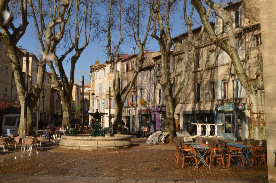 Avignon Private Guided Tour and Wine Tastings From Marseille - Key Points