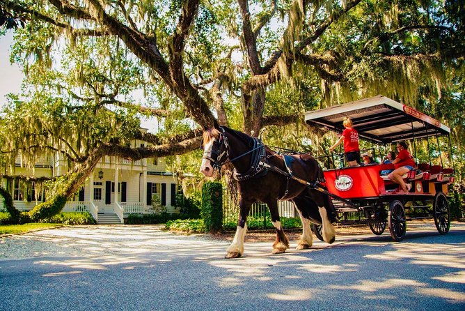 Beaufort's #1 Horse & Carriage History Tour - Just The Basics